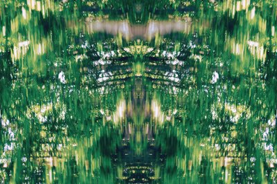 Non naturel 31 - Giovanni Cafagna
