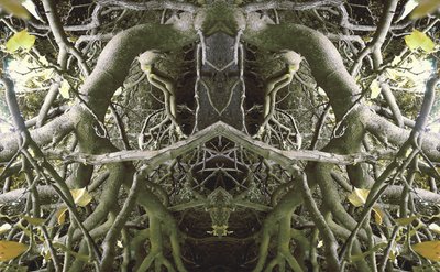 Non naturel 41 - Giovanni Cafagna