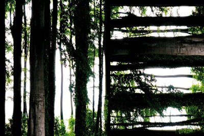 Non naturel 55 - Giovanni Cafagna