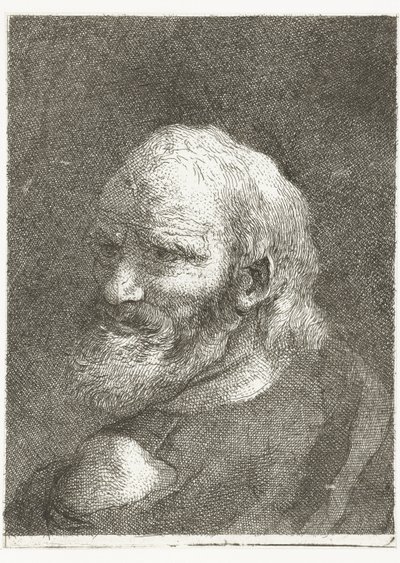 Homme avec épaule dénudée - Giovanni Domenico Tiepolo