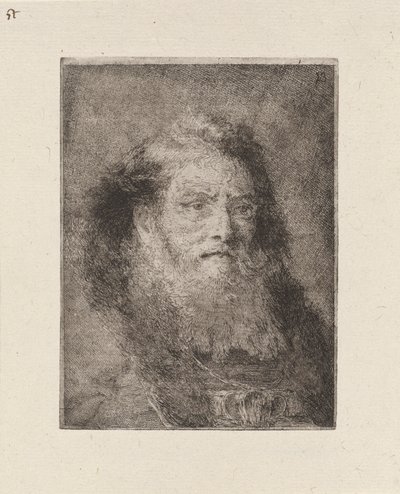 Vieil homme à tête nue, de la Raccolta di Teste (Collection de têtes) - Giovanni Domenico Tiepolo