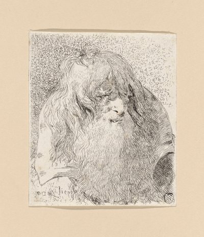 Vieil homme avec une barbe et des cheveux longs, de la Raccolta di Teste (Collection de têtes) - Giovanni Domenico Tiepolo