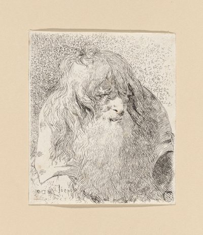 Vieil homme barbu aux cheveux longs, tiré de la *Raccolta di Teste* (Collection de têtes) - Giovanni Domenico Tiepolo