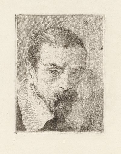 Vieil homme avec une barbe et une tête nue, de la Raccolta di Teste (Collection de têtes) - Giovanni Domenico Tiepolo