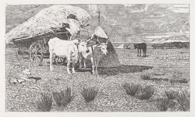 Bœufs attelés à une charrette (Maremme) - Giovanni Fattori