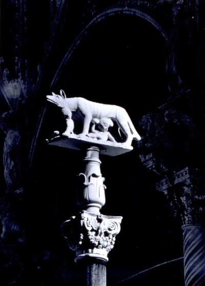 La louve siennoise, avec les jumeaux Romulus et Remus, façade de la Piazza del Duomo - Giovanni Pisano