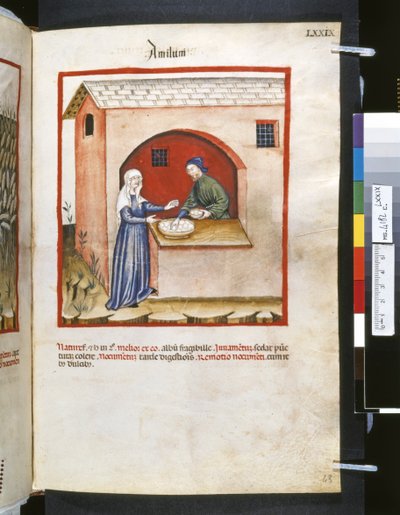 Theatrum sanitatis par Ububchasym de Baldach : 