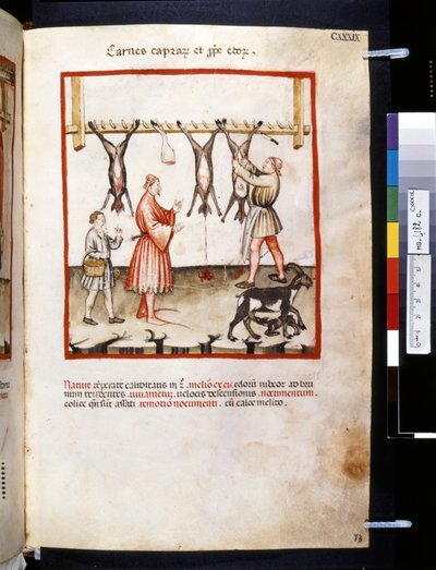 Theatrum sanitatis par Ububchasym de Baldach : 