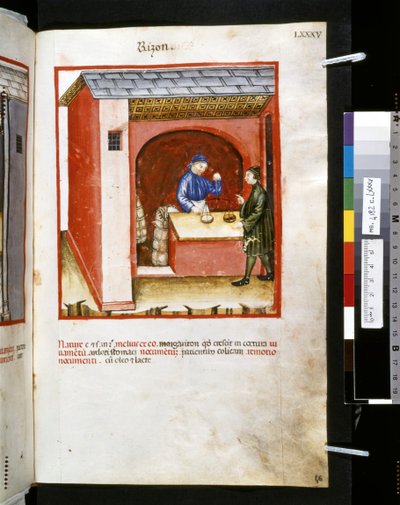 Theatrum sanitatis par Ububchasym de Baldach : 