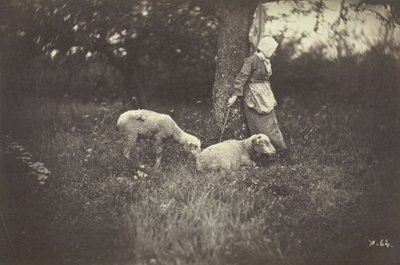 Bergère appuyée contre un arbre, avec deux moutons - Giraudon