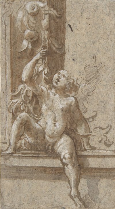 Un putto assis sur un cadre - Girolamo Mazzola Bedoli