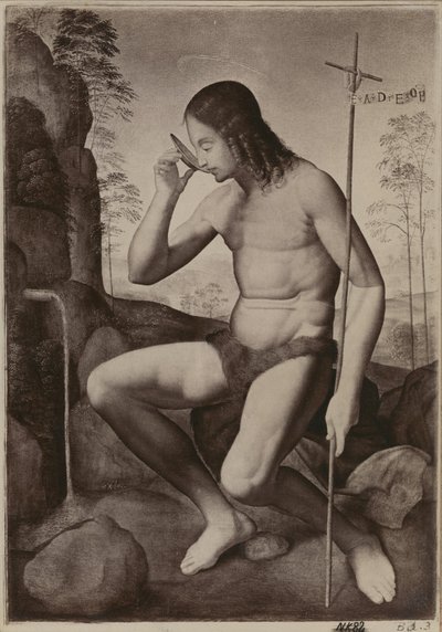 Saint Jean Baptiste dans le désert - Giuliano Bugiardini