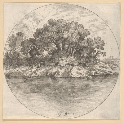 Paysage avec des arbres près de l