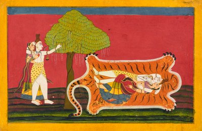 Shiva et Parvati sur une peau de tigre : folio Anakul Nayaka d