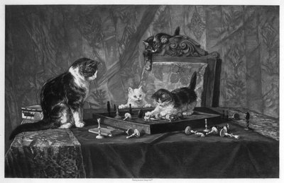 Chats jouant avec un échiquier - Goupil and Co