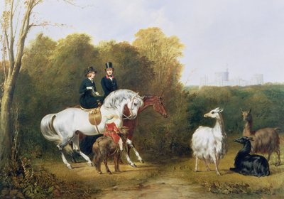 La reine Victoria et le prince Albert regardant les lamas dans le parc de la maison, Windsor - Gourlay Steel