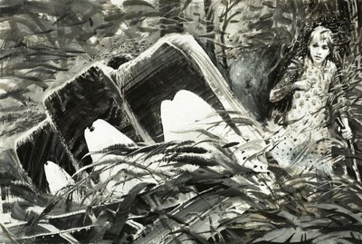 Survival : Perdu dans la jungle - Graham Coton