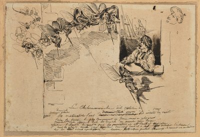 Le Choléramouche (graphite, pen  brown ink on paper) - Grandville (1803-47)