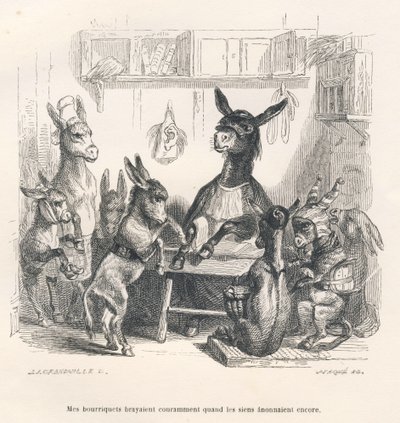 Ânes à l