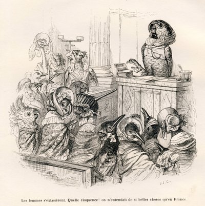 Perroquet éloquent - Grandville