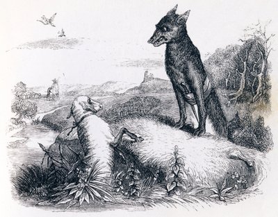 Le loup et l