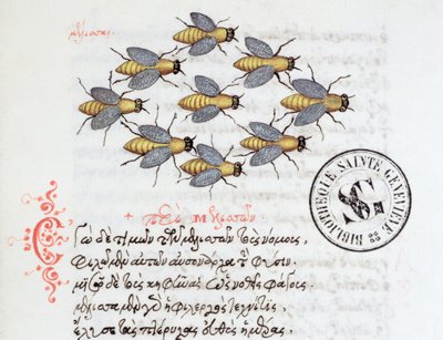 Ms 3402 Abeilles, d