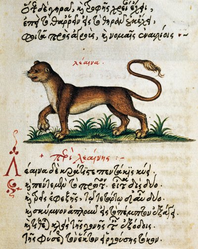 Traité sur le Lion, texte et miniature de De animalium natura et proprietate libellus, par Aelianus (2e-3e siècle après J.-C.) - Greek School
