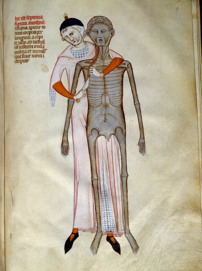 Chirurgie : dissection du thorax - Guido da Vigevano da Pavia