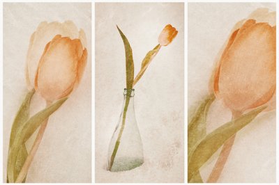 Nature morte délicate aux tulipes - Gustav Davidsson