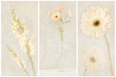 Triptyque floral délavé - Gustav Davidsson
