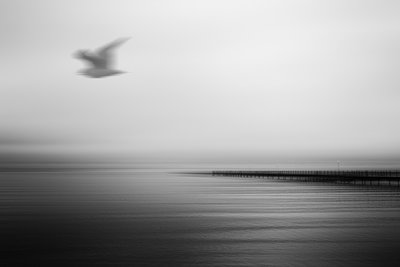  - Gustav Davidsson