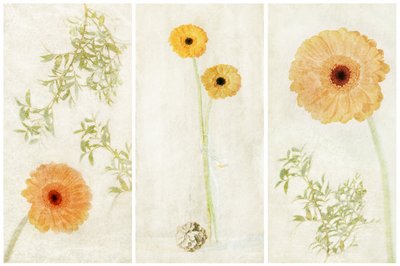 Triptyque « Soft Gerbera » - Gustav Davidsson