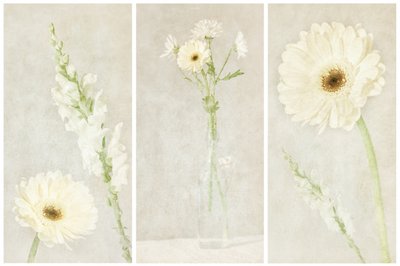 Fleurs blanches délicates - Gustav Davidsson