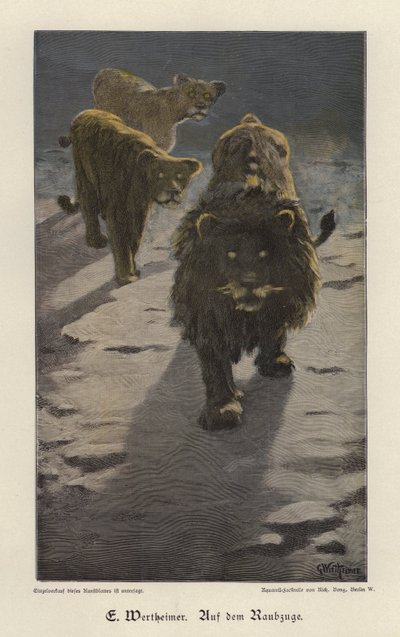 En raid - Gustav Wertheimer