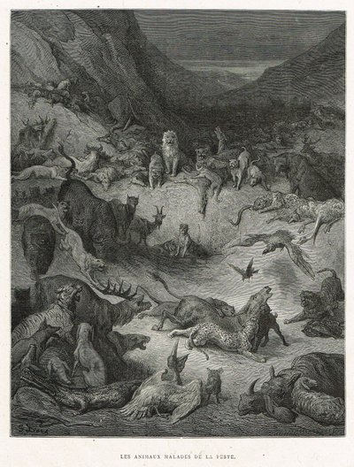 Les Animaux malades de la Peste - Gustave Dore