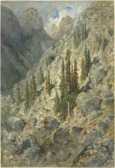 Une vallée alpine avec des arbres et des rochers - Gustave Dore