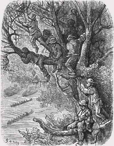 Perché dans les arbres - Gustave Dore