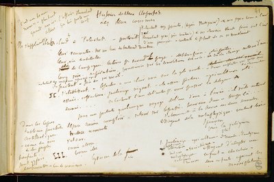 Folio 41 du carnet n. 19 Page manuscrite des brouillons de Gustave Flaubert. Plans pour Bouvard et Pécuchet. BHVP. - Gustave Flaubert