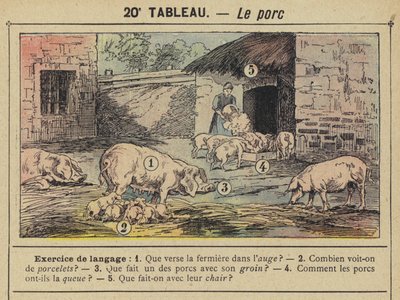 Le porc - Gustave Fraipont