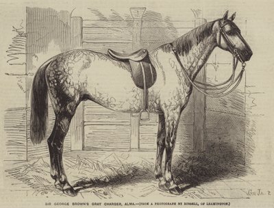 Le cheval gris de Sir George Brown, Alma - Gustave Janet