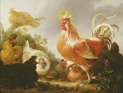 Coq et poules dans un paysage, 1649 - Gysbert Hondecoeter