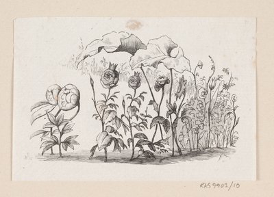 Illustration de "Den lille Idas Blomster" dans H.C. Andersen, "Contes et histoires", Tome 1 - H.P. Hansen