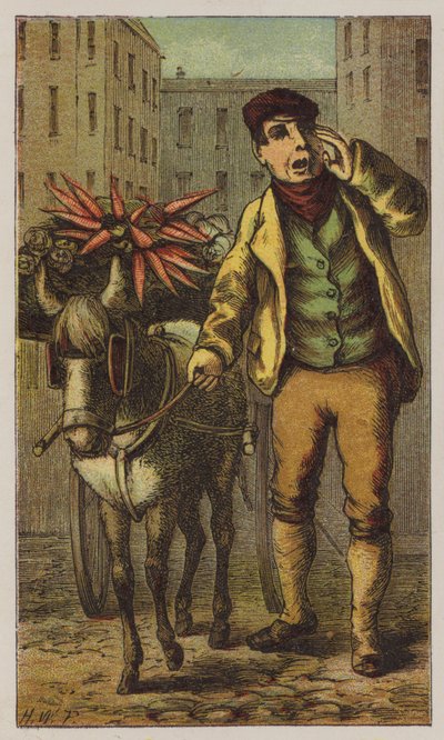 Marchand de fruits et légumes (lithographie en couleur) - H.W. (after) Petherick