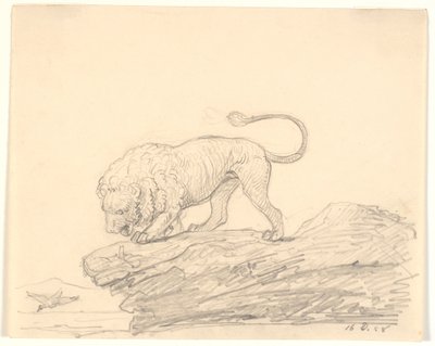 Un lion sur un rocher. Il regarde un oiseau volant - H.W. Bissen
