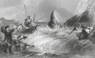 La baleine sur le rivage (gravure) - H. Melville