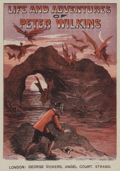La vie et les aventures de Peter Wilkins - after Hablot Knight Browne