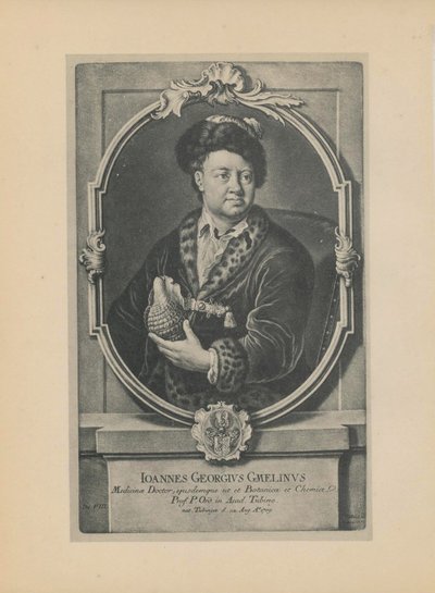 Portrait du naturaliste, botaniste et géographe Johann Georg Gmelin 1709-1755, milieu du 18e siècle - Haid