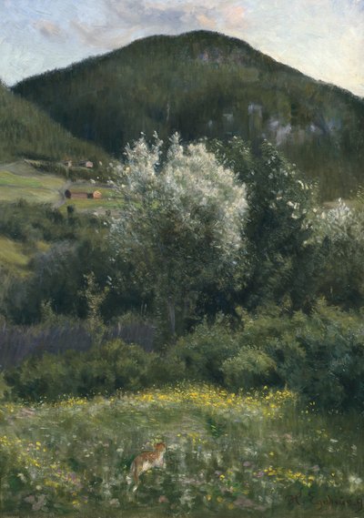 Cerise d