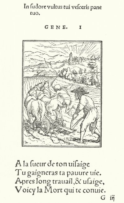 Le Laboureur, ou Fermier - Hans (after) Holbein the Younger