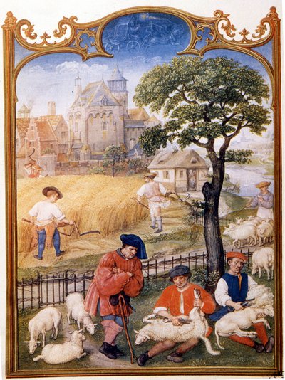 Travail aux champs, tonte des moutons et paysans fauchant le blé. Miniature attribuée à Memling. Planche tirée du Bréviaire Grimani du 15ème siècle. Biblioteca Marciana, Venise - Hans (attr.to) Memling